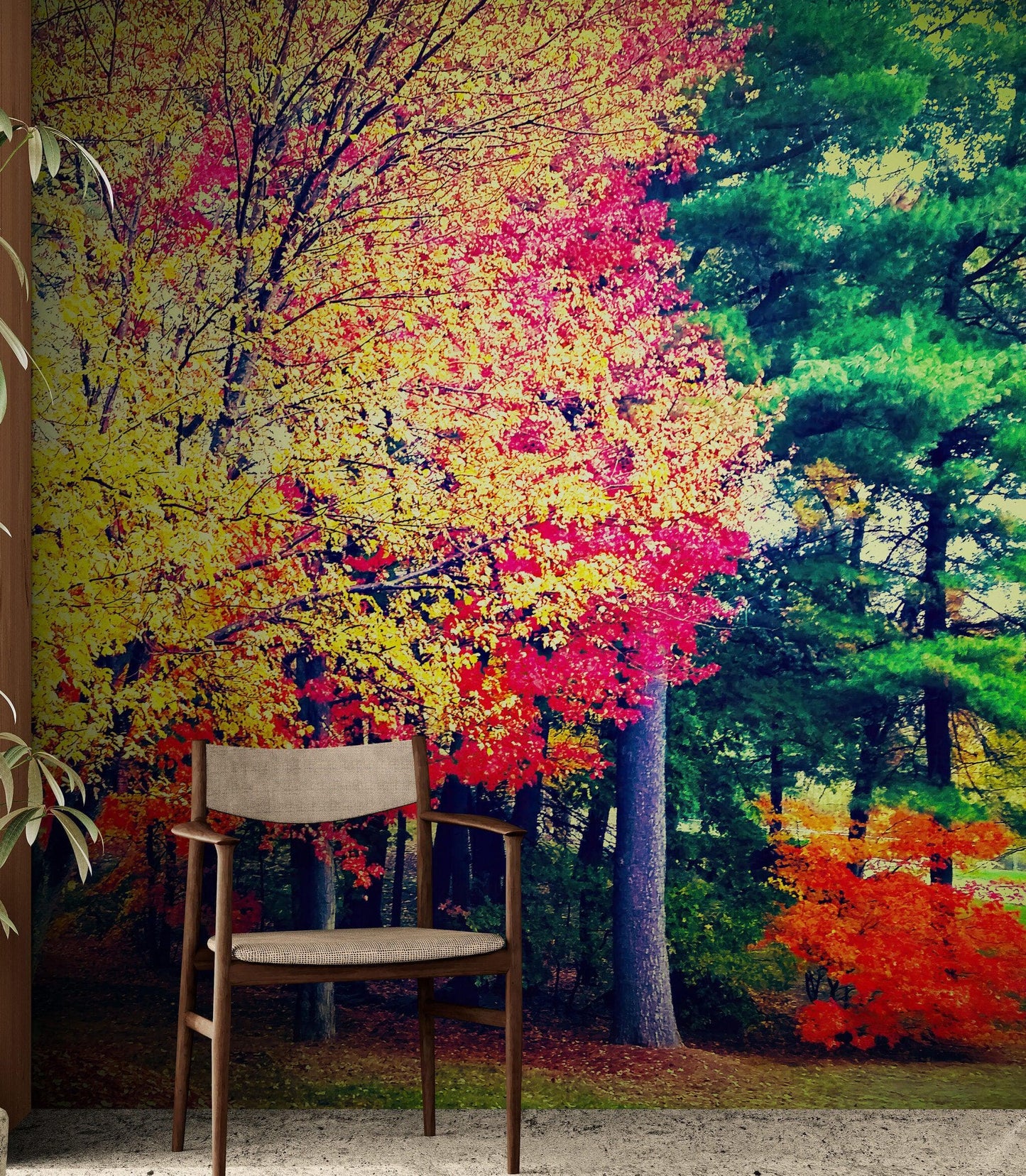 Colorful Autumn Trees Wallpaper Mural. #6981