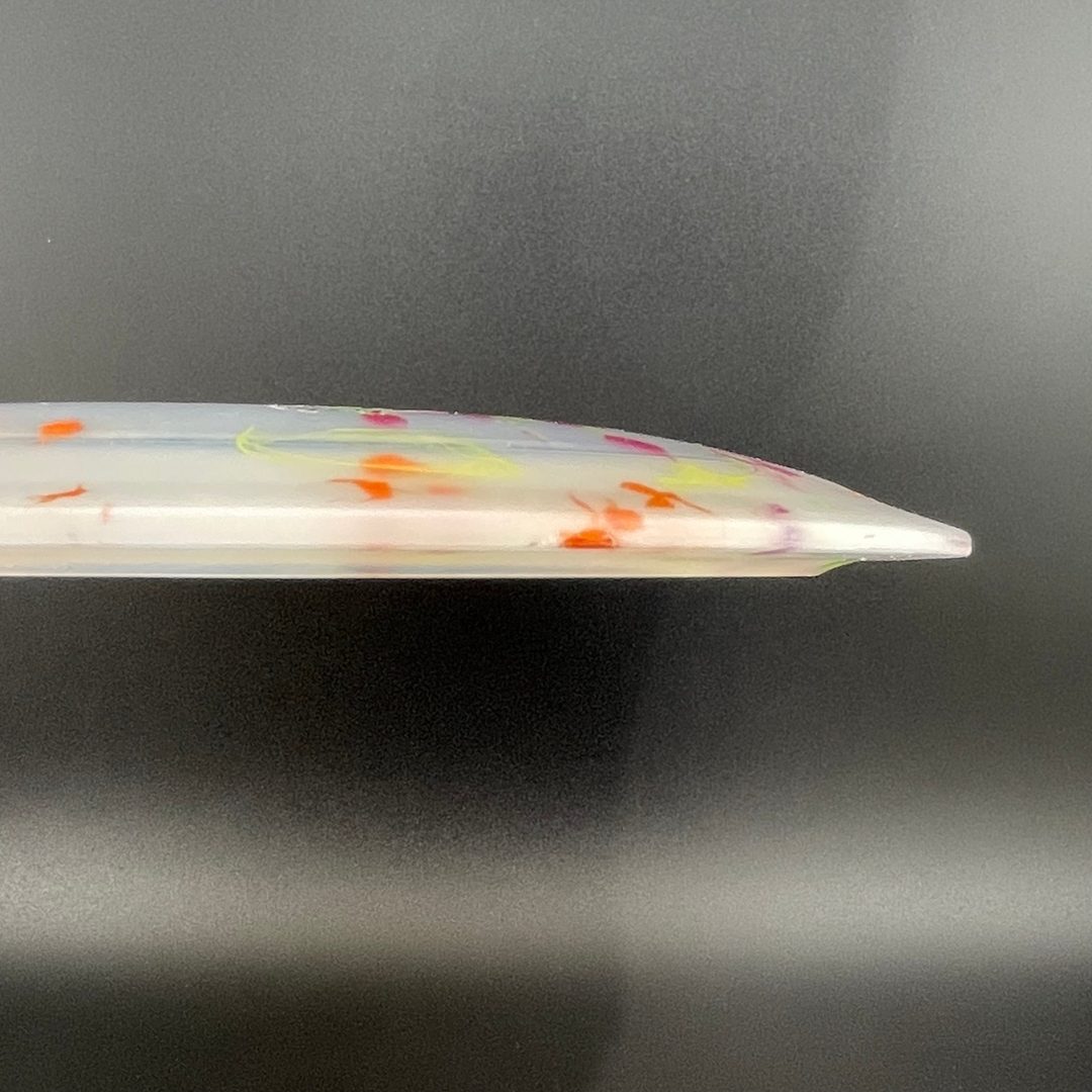 Egg Shell Allosaurus - Special Edition