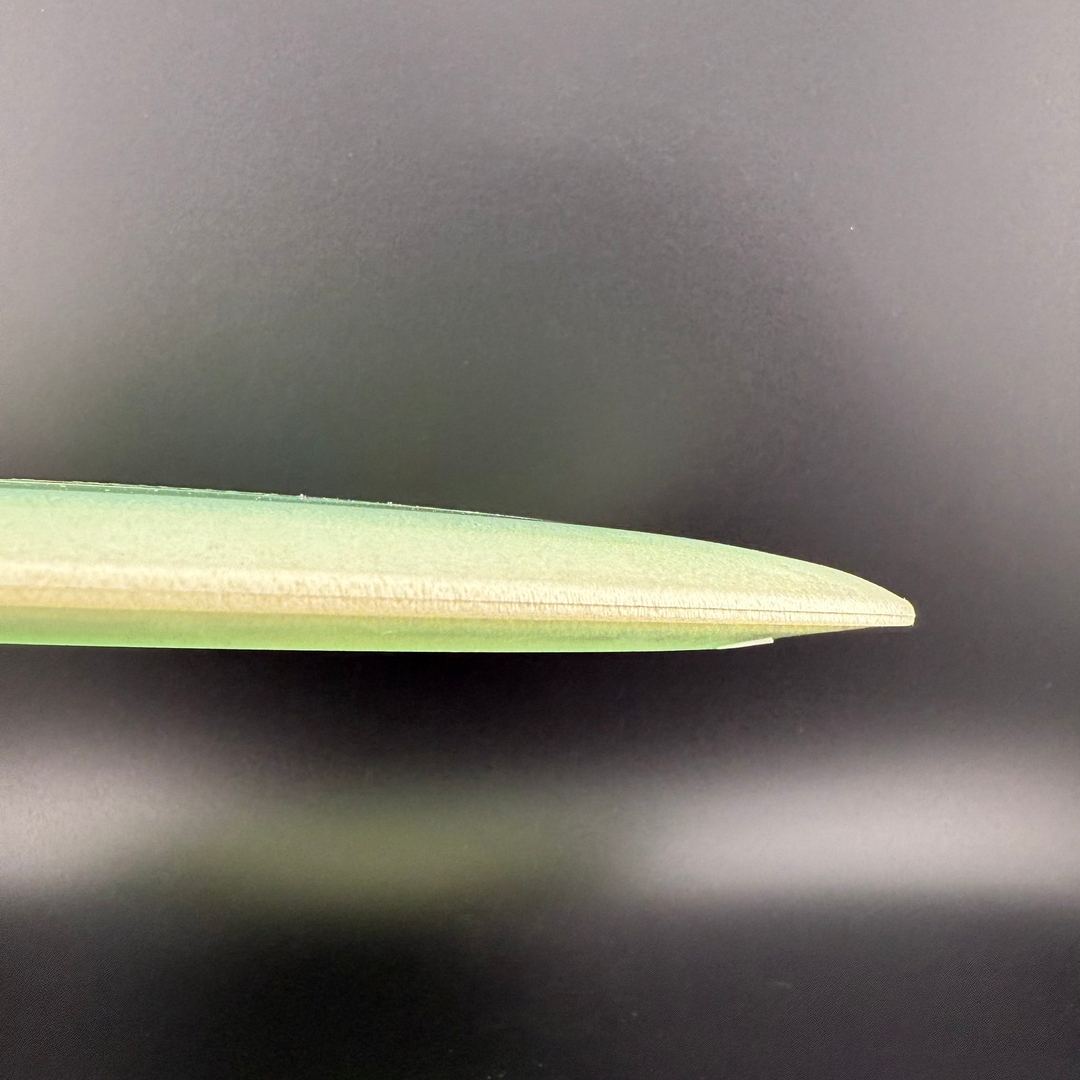 Blizzard Champion Boss - David Wiggins Jr 1108 World Record