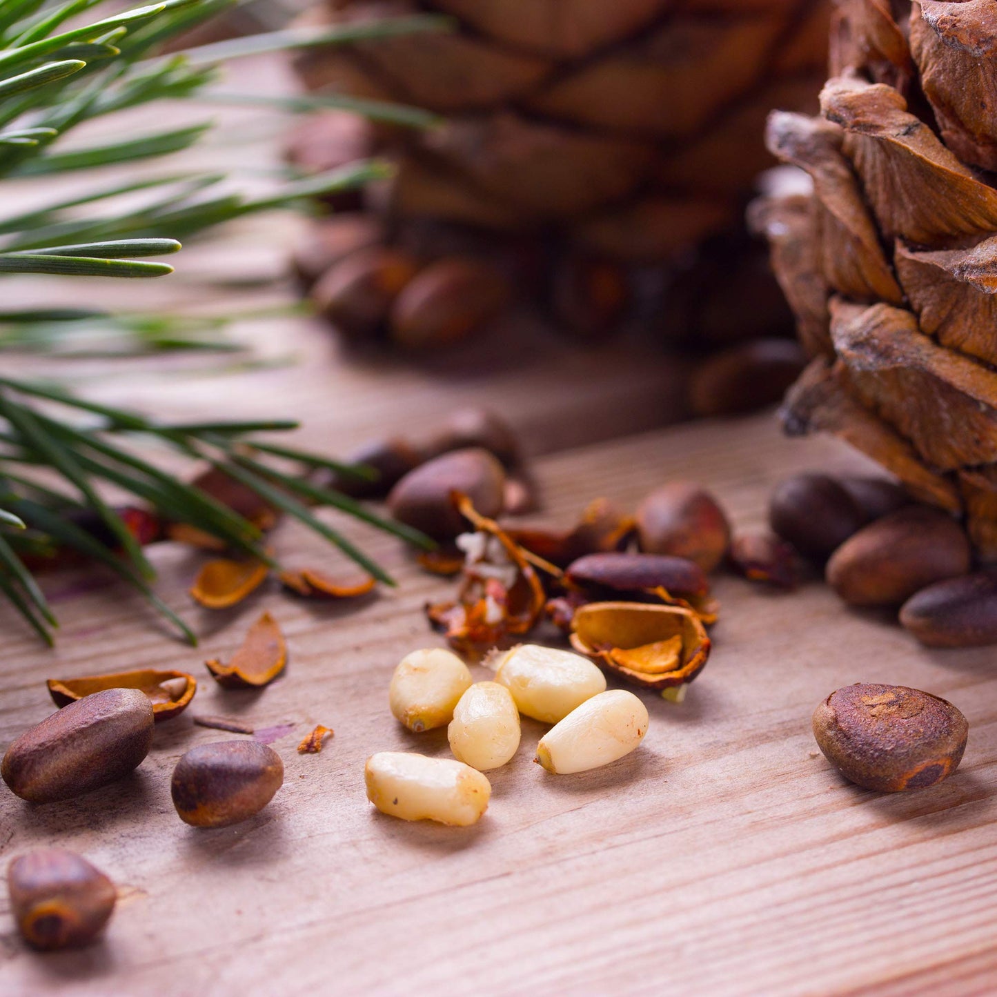 Organic Pine Nuts