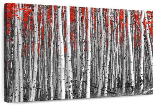 Red Birch Forest Wall Art