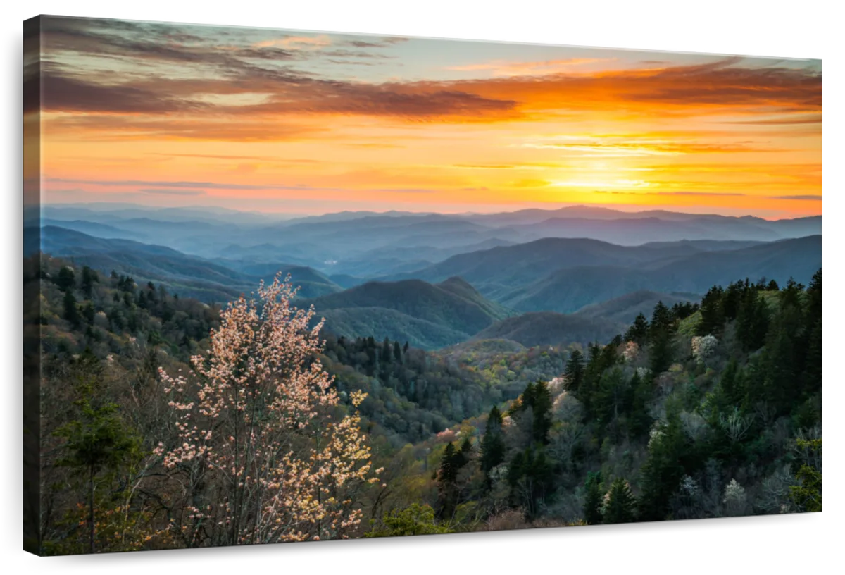 Great Smoky Mountains Sunrise Wall Art