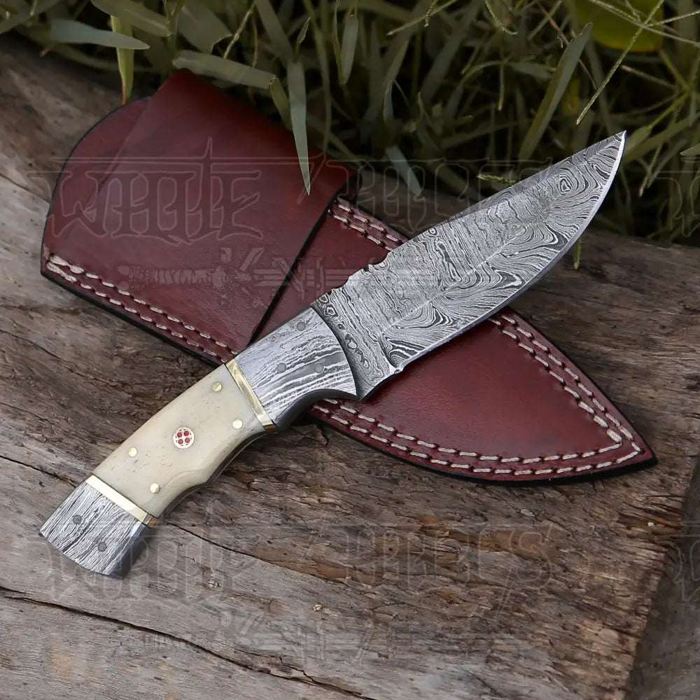 8.5” Hand Forged Damascus Steel Full Tang Skinner Knife - Camel Bone Handle - H-017