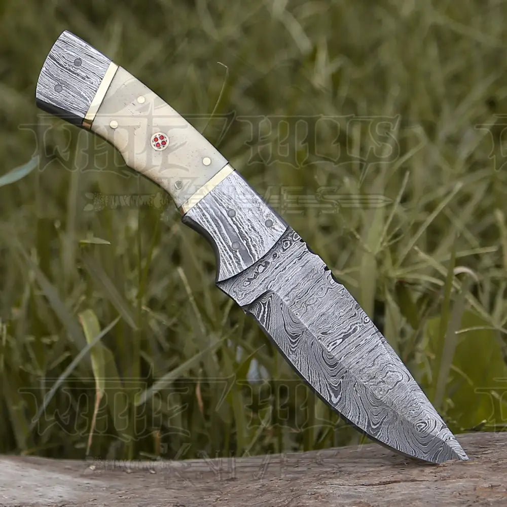 8.5” Hand Forged Damascus Steel Full Tang Skinner Knife - Camel Bone Handle - H-017
