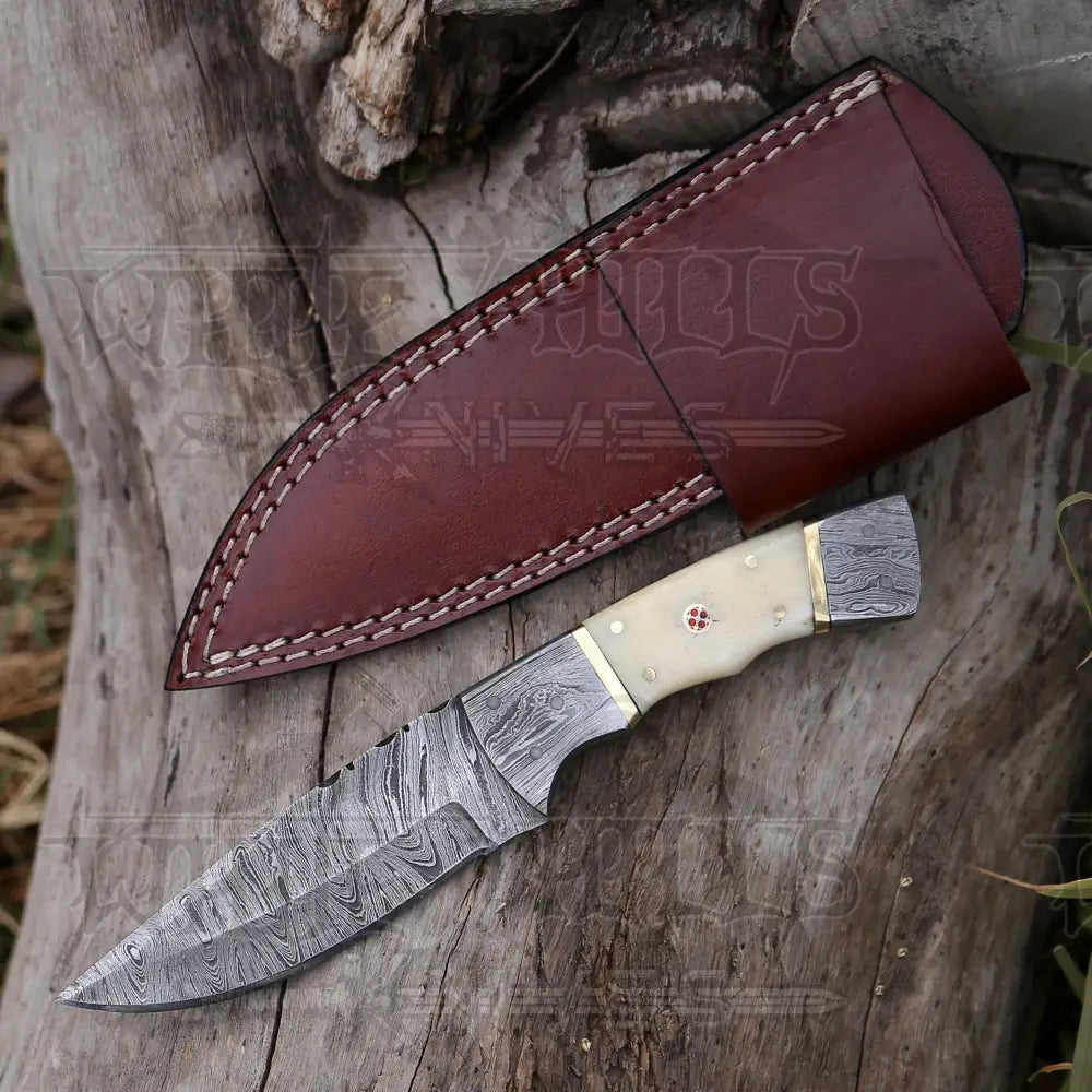 8.5” Hand Forged Damascus Steel Full Tang Skinner Knife - Camel Bone Handle - H-017