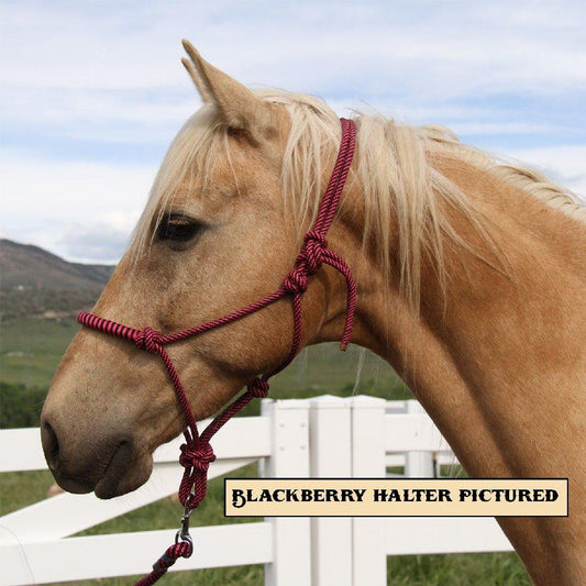 New Knotted Halter (Assorted Colors & Sizes)