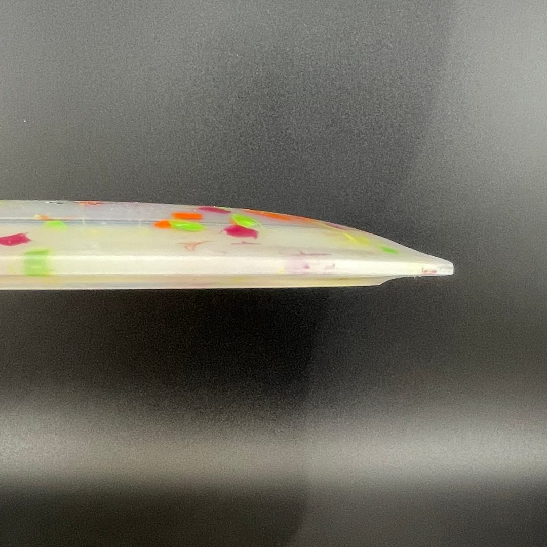 Egg Shell Allosaurus - Special Edition