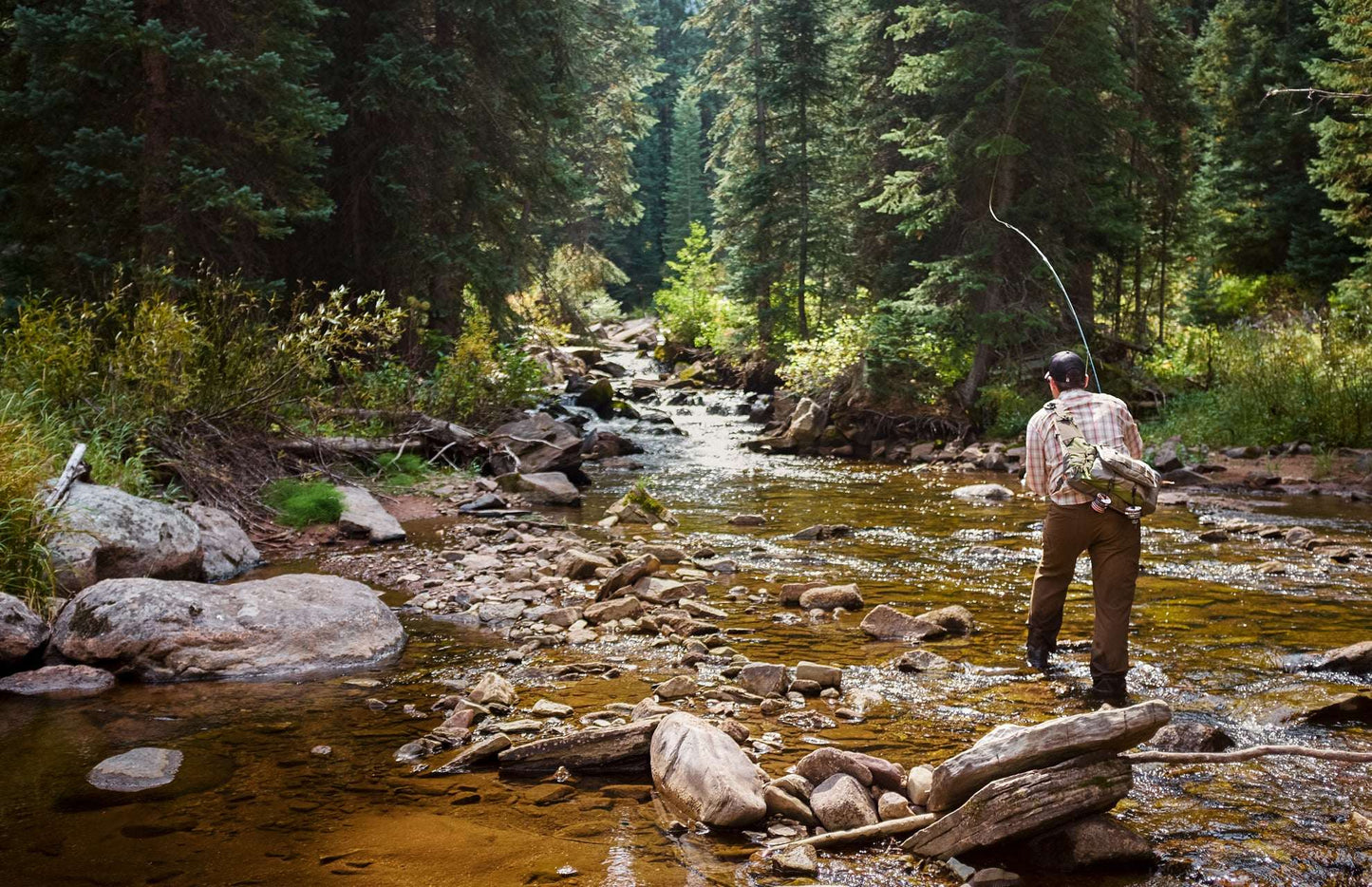 West Fork Salmonfly Stone - Stonefly Dry Fly - 6 Flies Hook Size 6