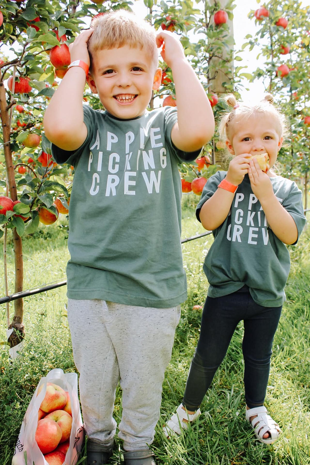 Distressed Apple Picking Crew Toddler/Youth T-Shirt