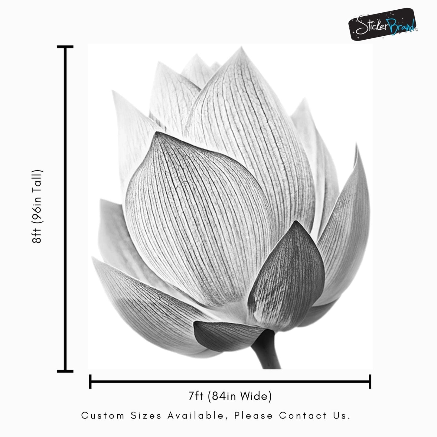 Black and White Lotus Flower Wall Mural #6116