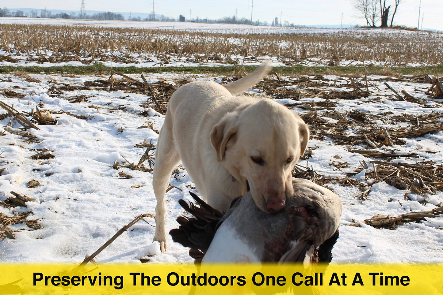 Waterfowl Goose Call - The Freezer call