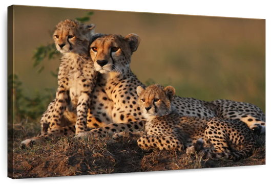 Safari Cheetah Family Wall Art
