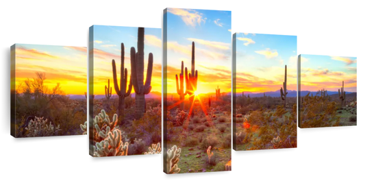 Desert Cactus Sun Ray Wall Art