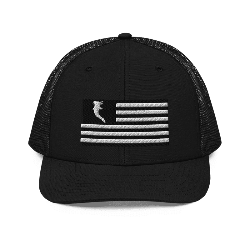 Flag Embroidered BnW (Snapback)