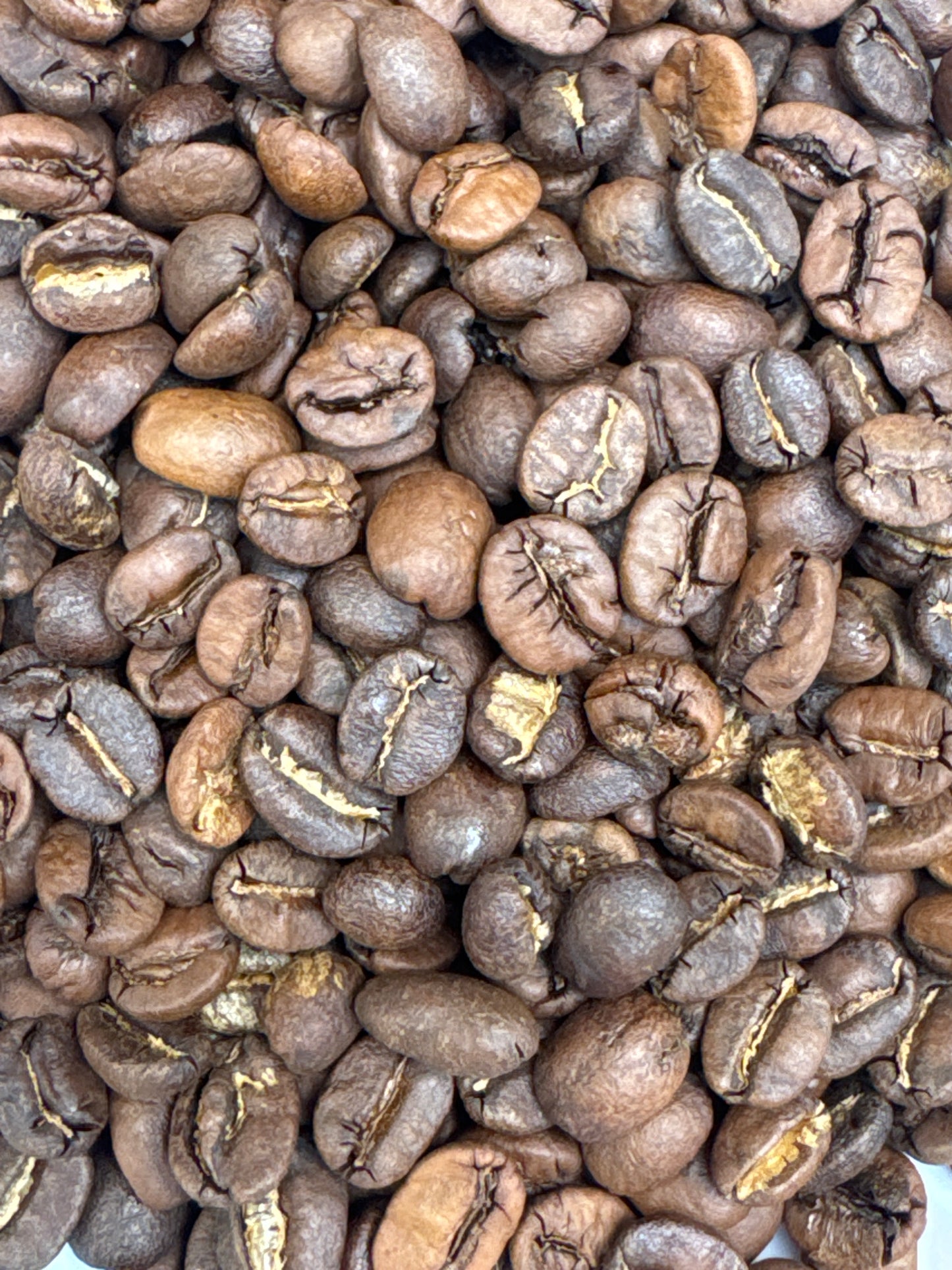 Lunar Espresso Blend Original