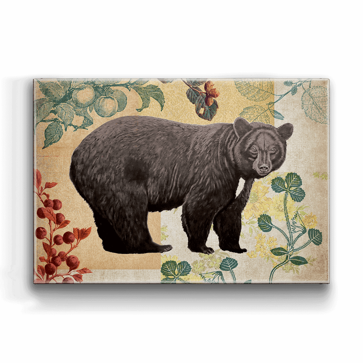 Wildwood Berry Bear - Metal Box Art