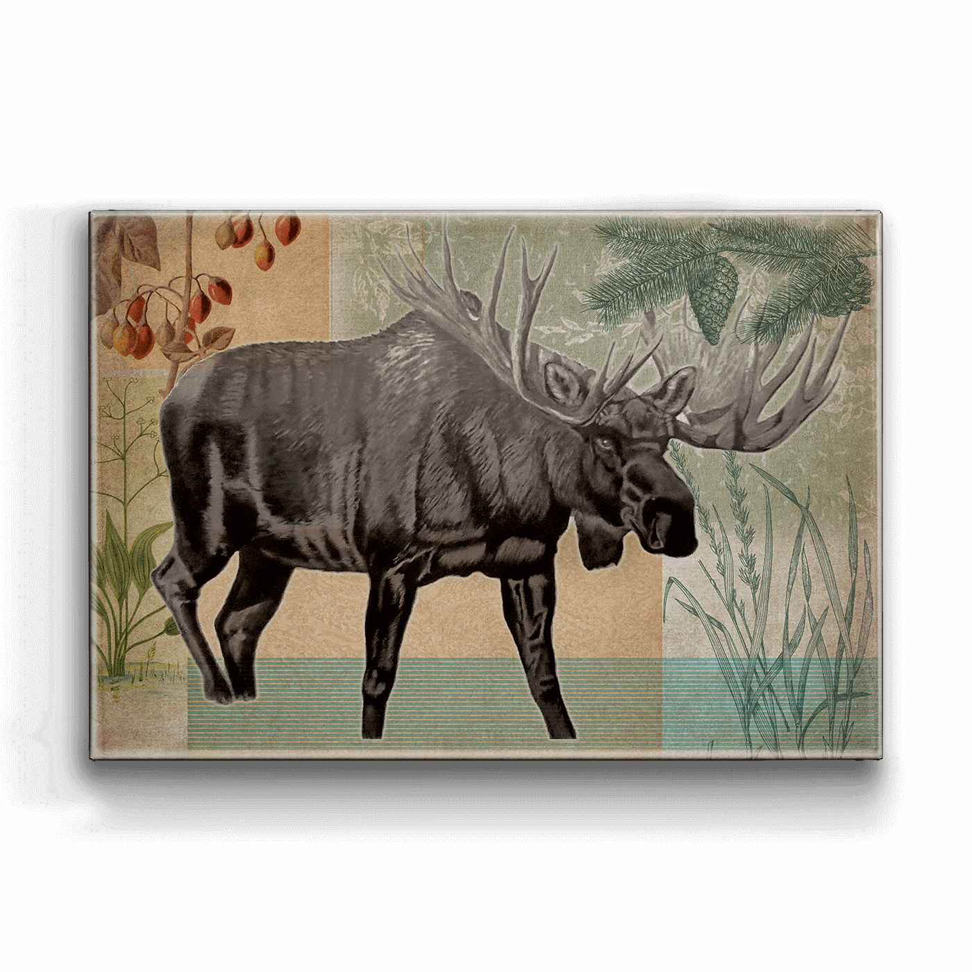 Wildwood Moose - Metal Box Art