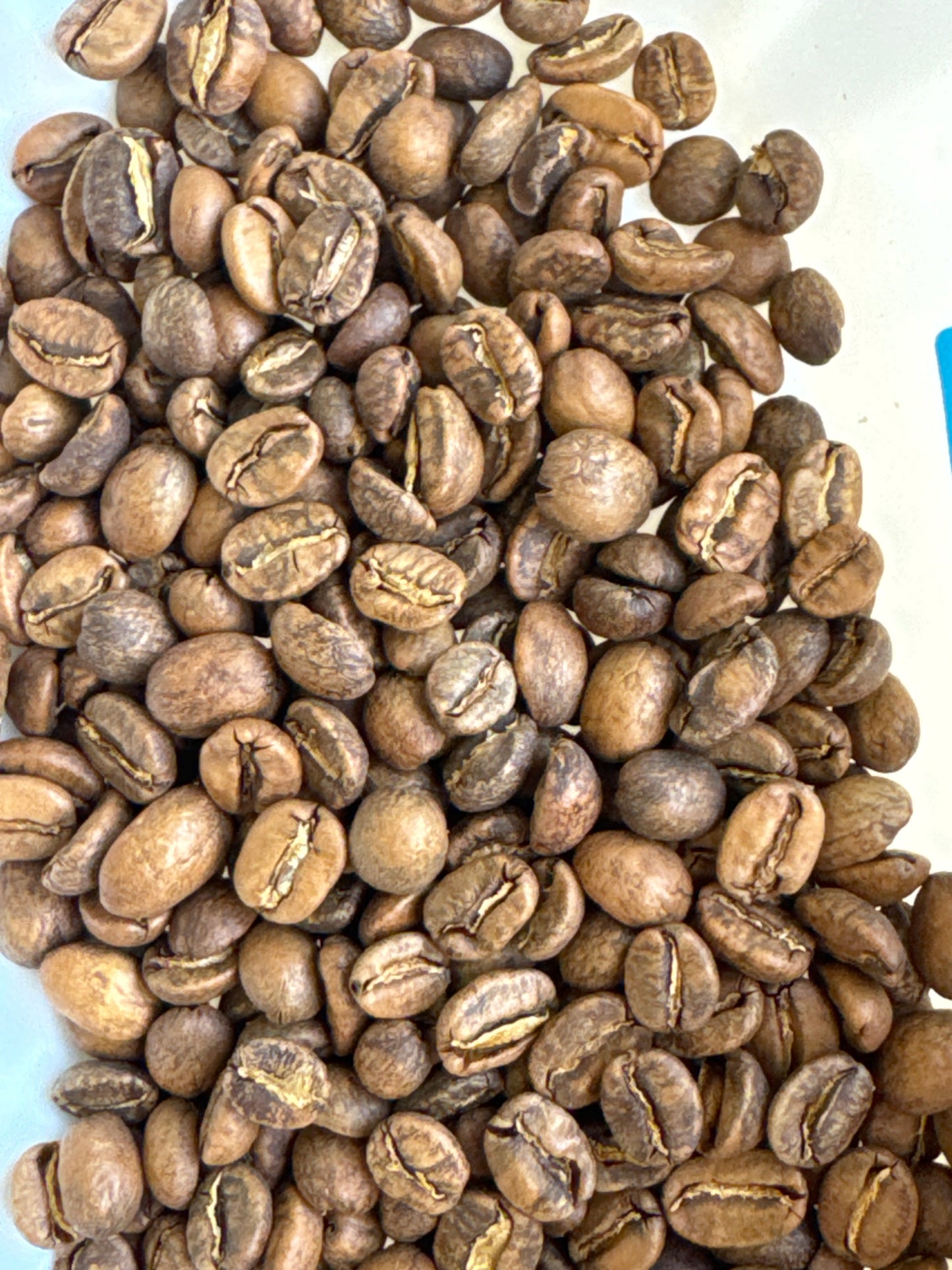 Peru Aromas del Valle Merly Leon G1 Washed Organic