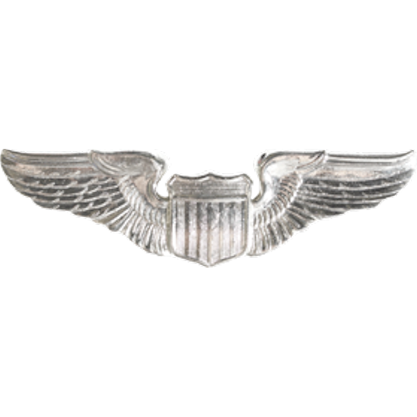 Air Force Badge - Pilot