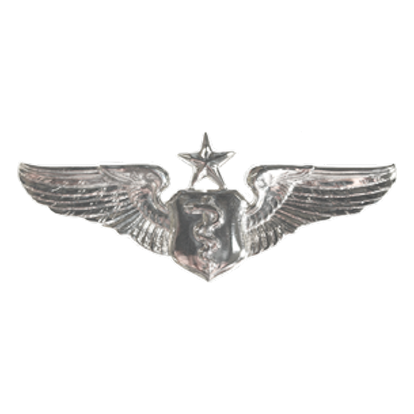 Air Force Badge - Flight Nurse