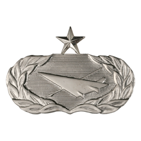 Air Force Badge - Historian