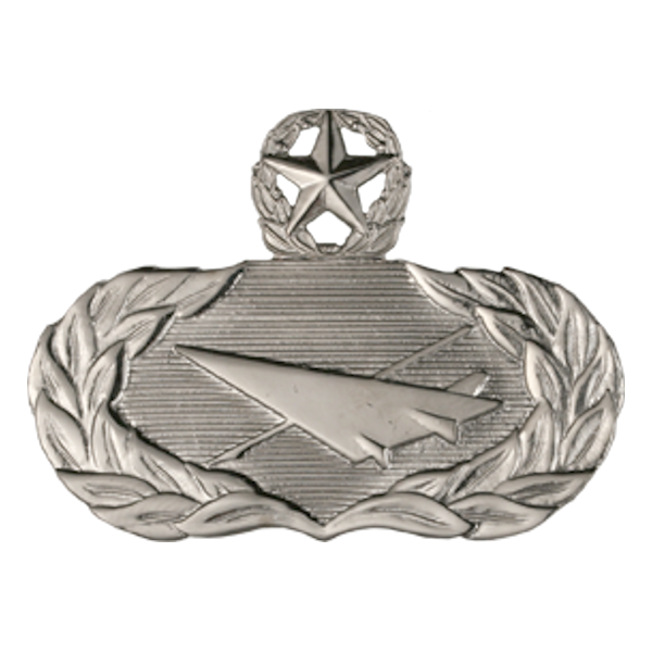 Air Force Badge - Historian