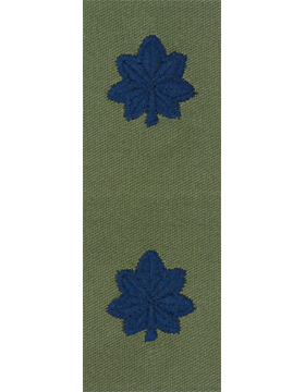 Vintage U.S. Air Force Officer Rank - SUBDUED O.D. GREEN  CLEARANCE