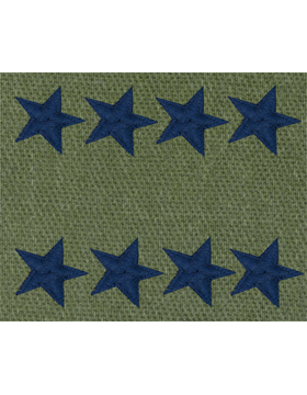 Vintage U.S. Air Force Officer Rank - SUBDUED O.D. GREEN  CLEARANCE