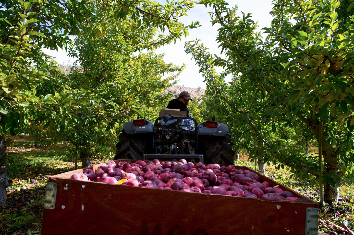 A Year in the Fields: The State of the Washington Farmer