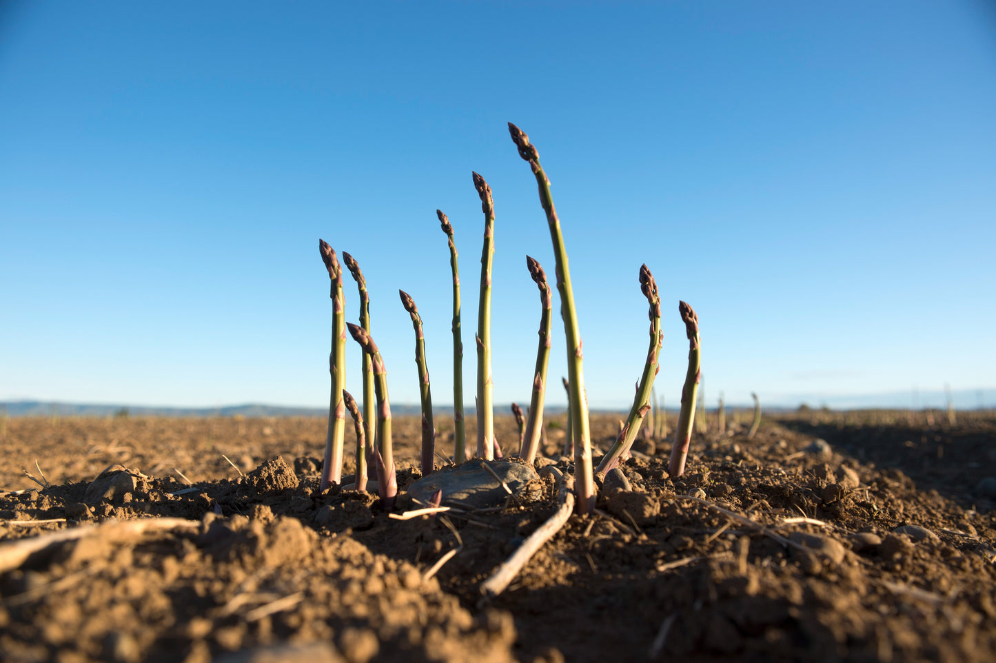 A Year in the Fields: The State of the Washington Farmer