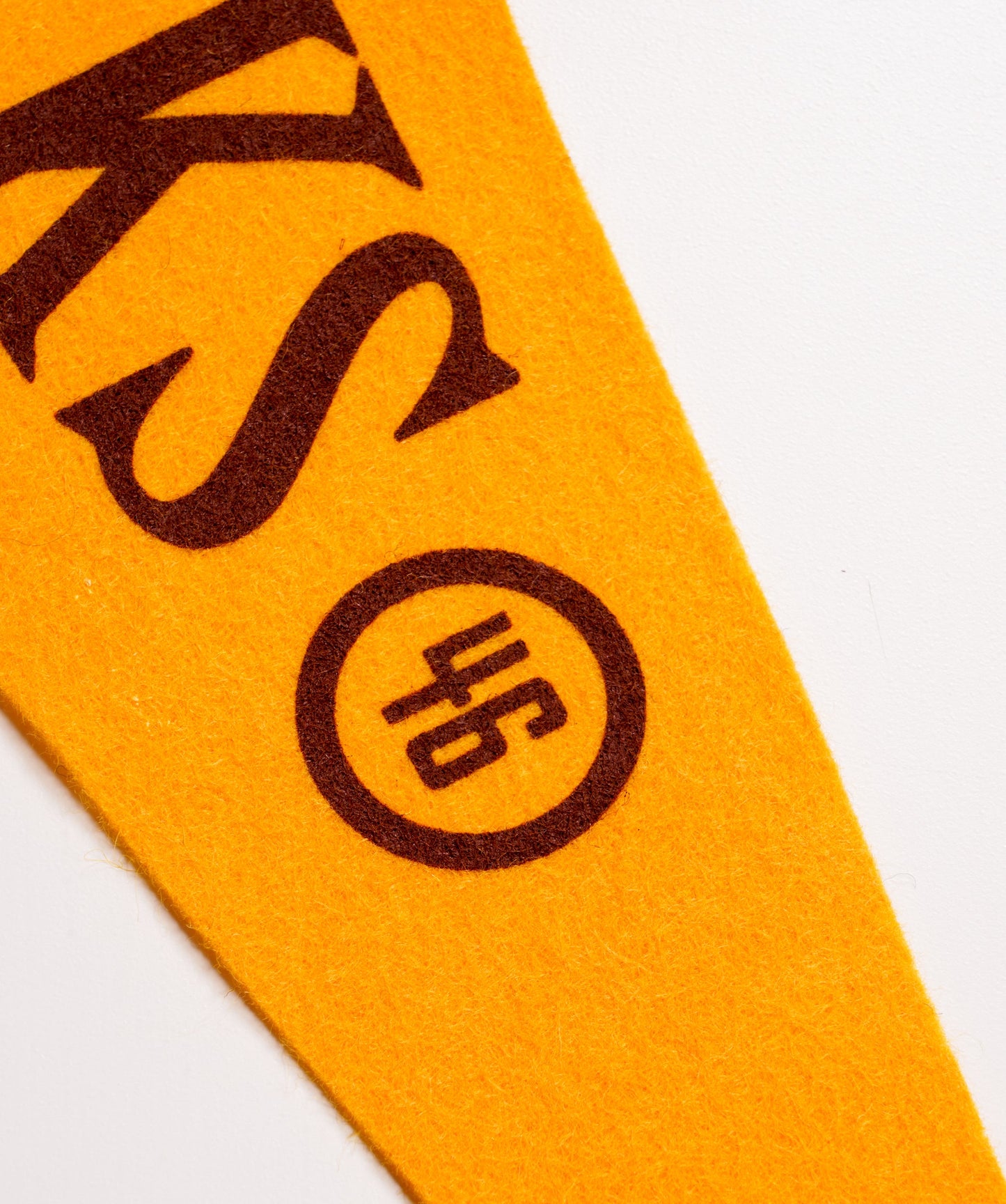 Adirondack Mountains Pennant