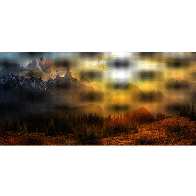 Sunset Collection Grille Inserts