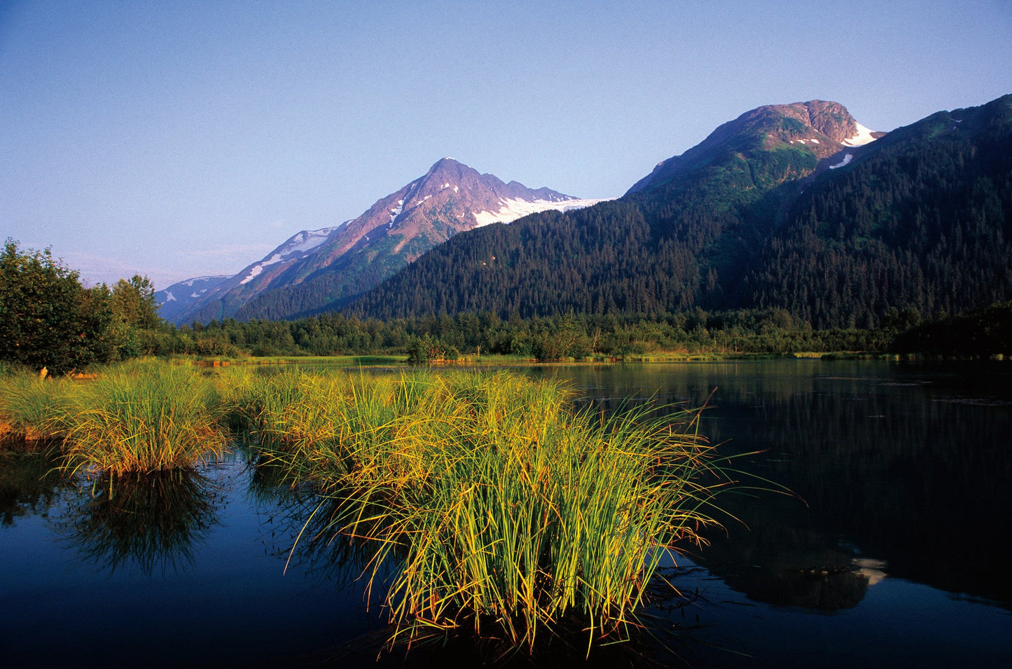 Connecting with Nature: Portraits and Essays on Nature and Man