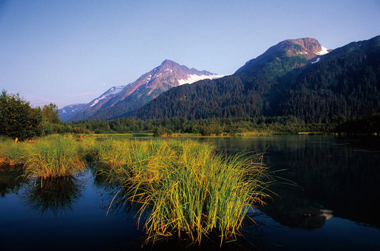 Connecting with Nature: Portraits and Essays on Nature and Man