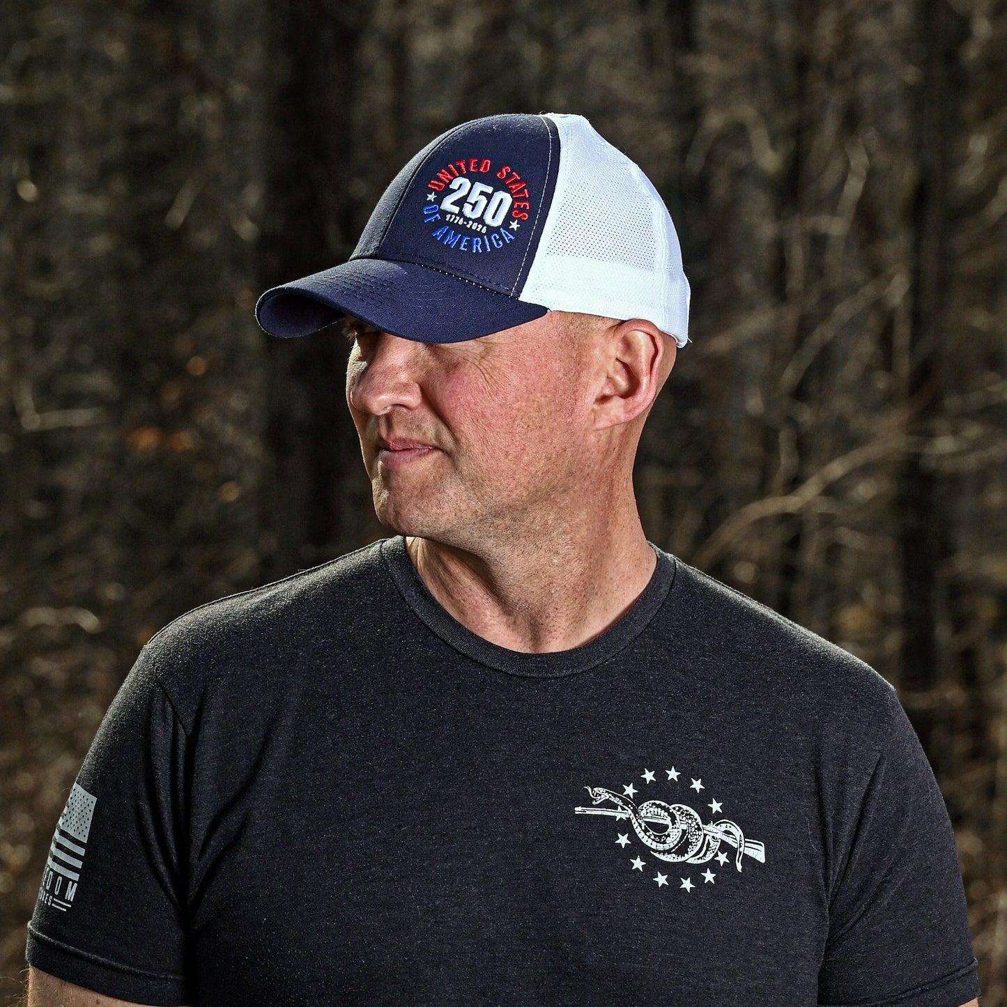 America's 250th Anniversary Ball Cap