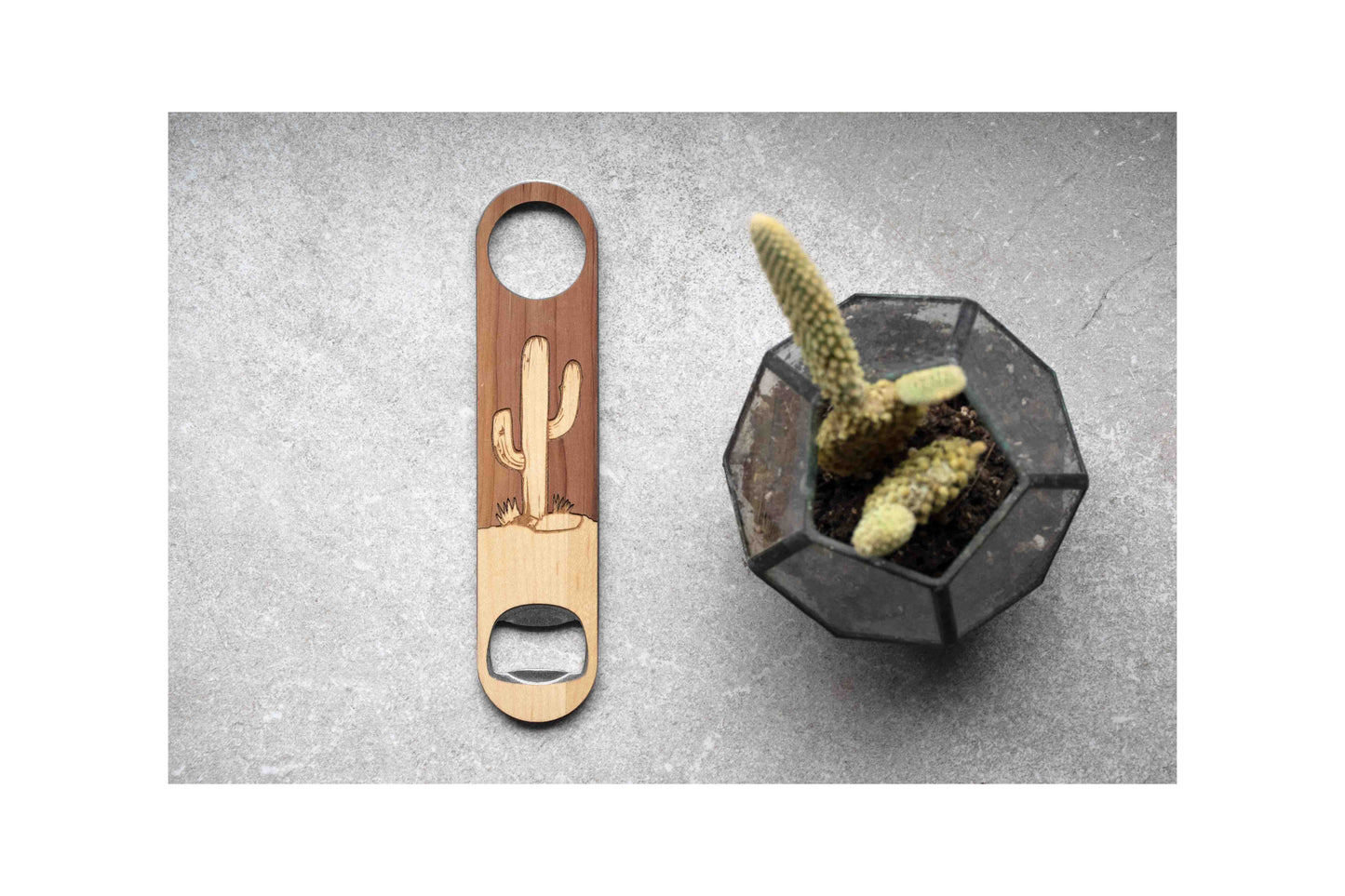 Cactus Bottle Opener