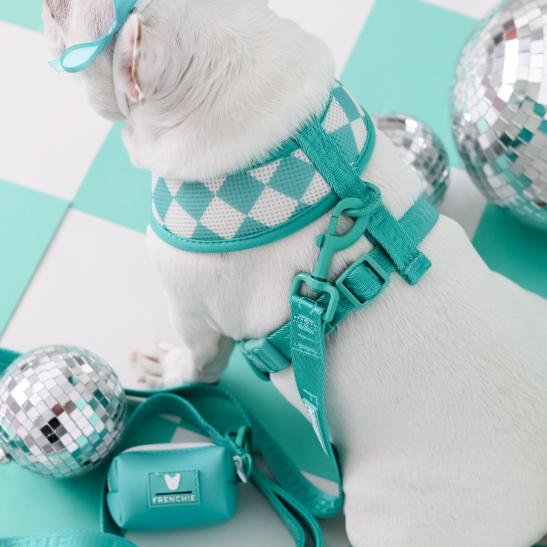 Frenchie Poo Bag Holder - Solid Aqua