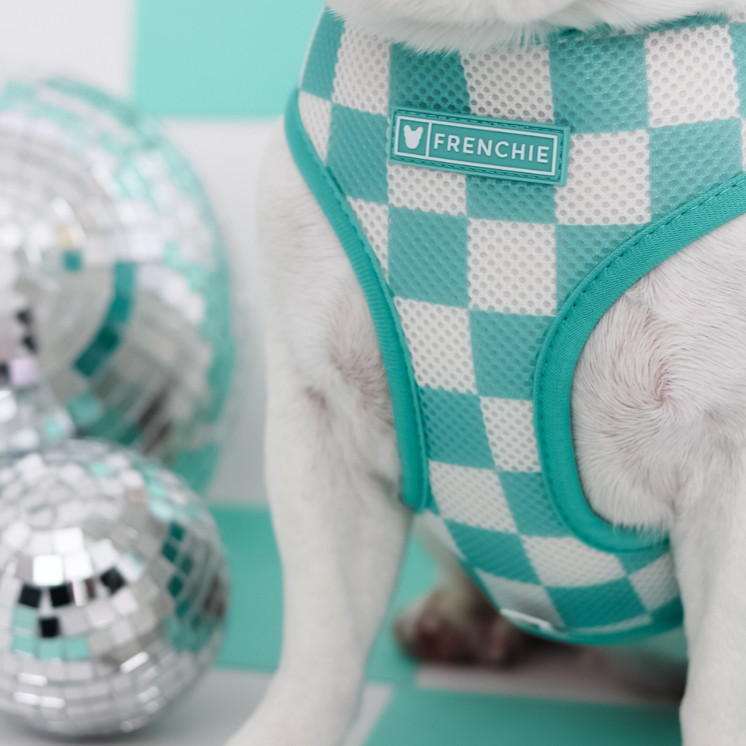 Frenchie Duo Reversible Harness - Solid Aqua