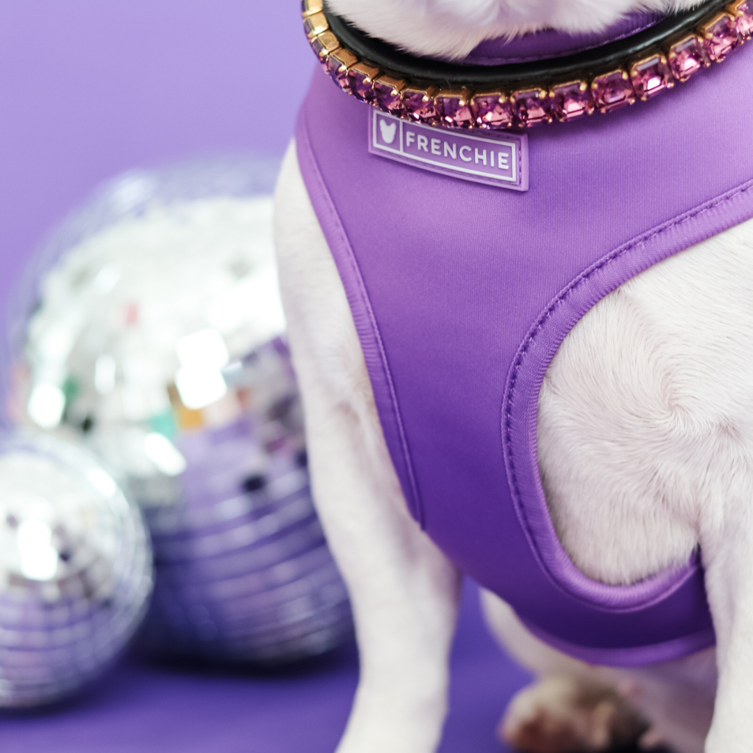 Frenchie Duo Reversible Harness - Solid Purple