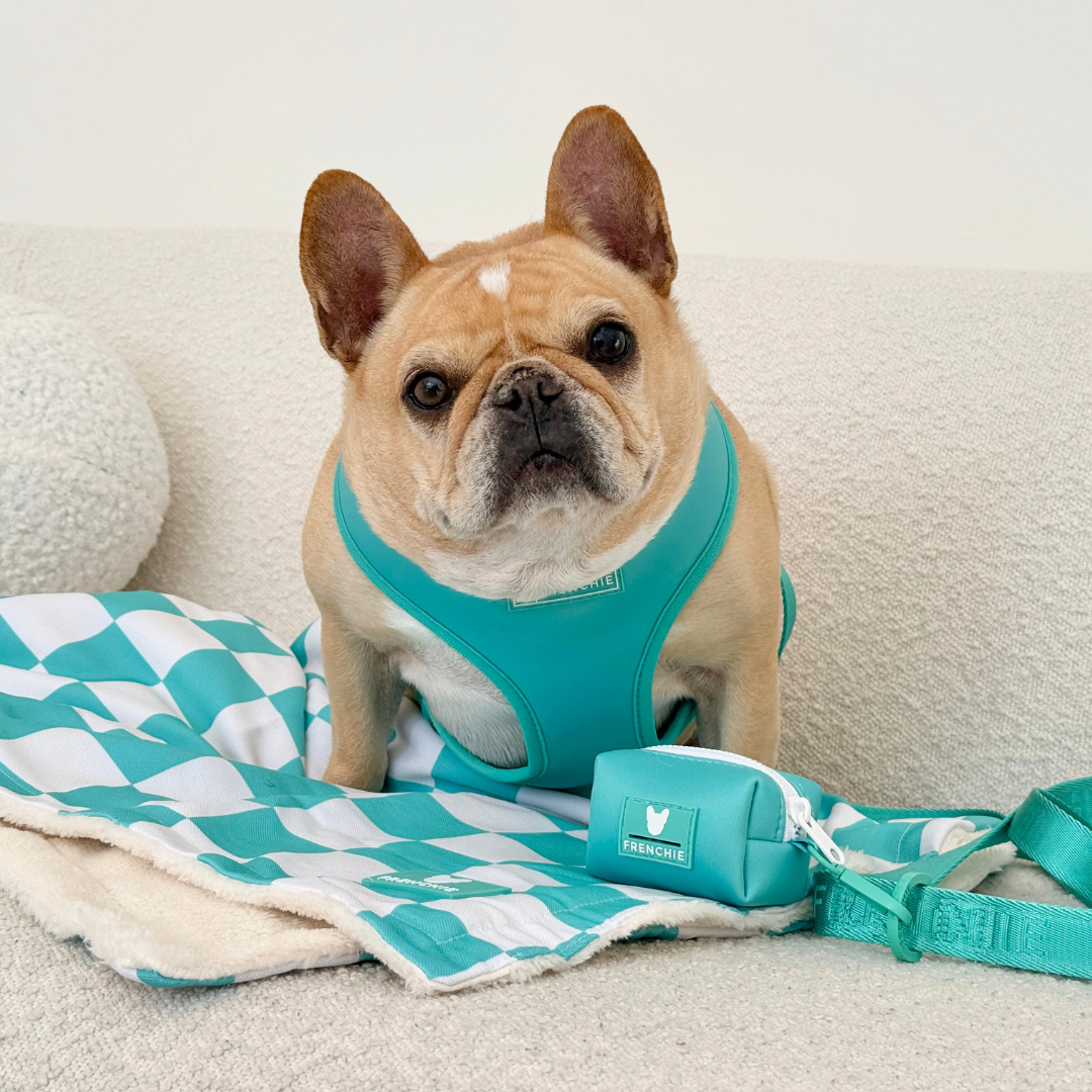Frenchie Poo Bag Holder - Solid Aqua