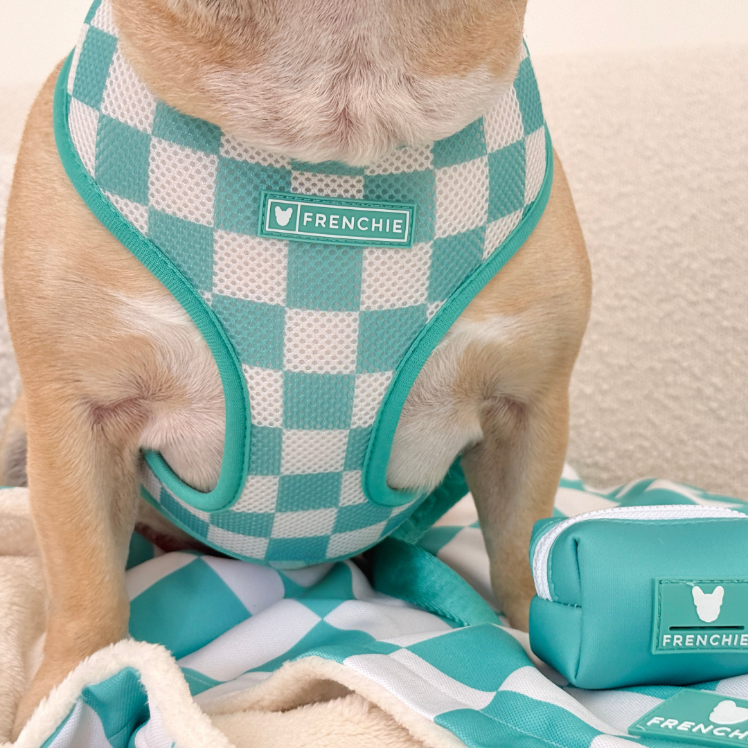 Frenchie Duo Reversible Harness - Solid Aqua