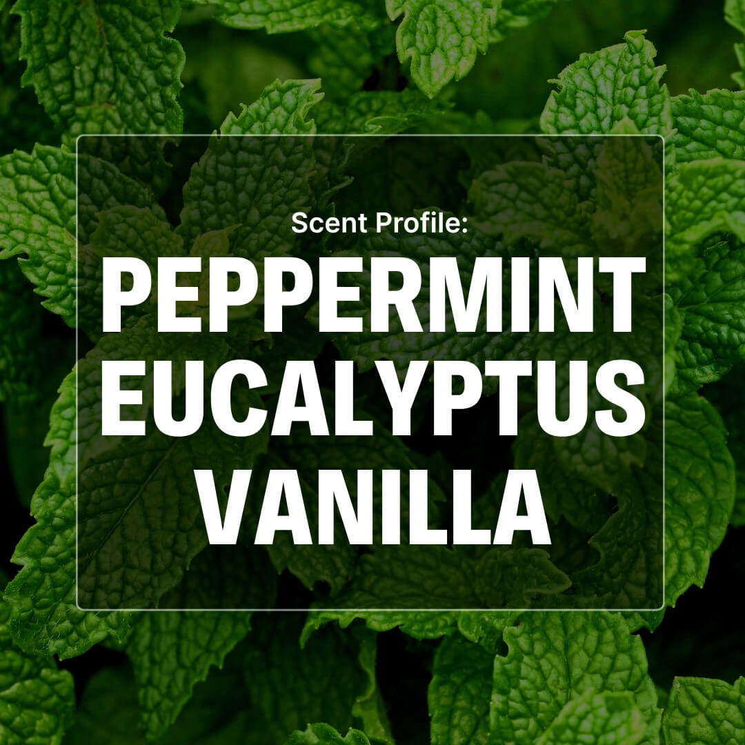 Arctic Chill Beard Oil - Mint, Eucalyptus, Vanilla