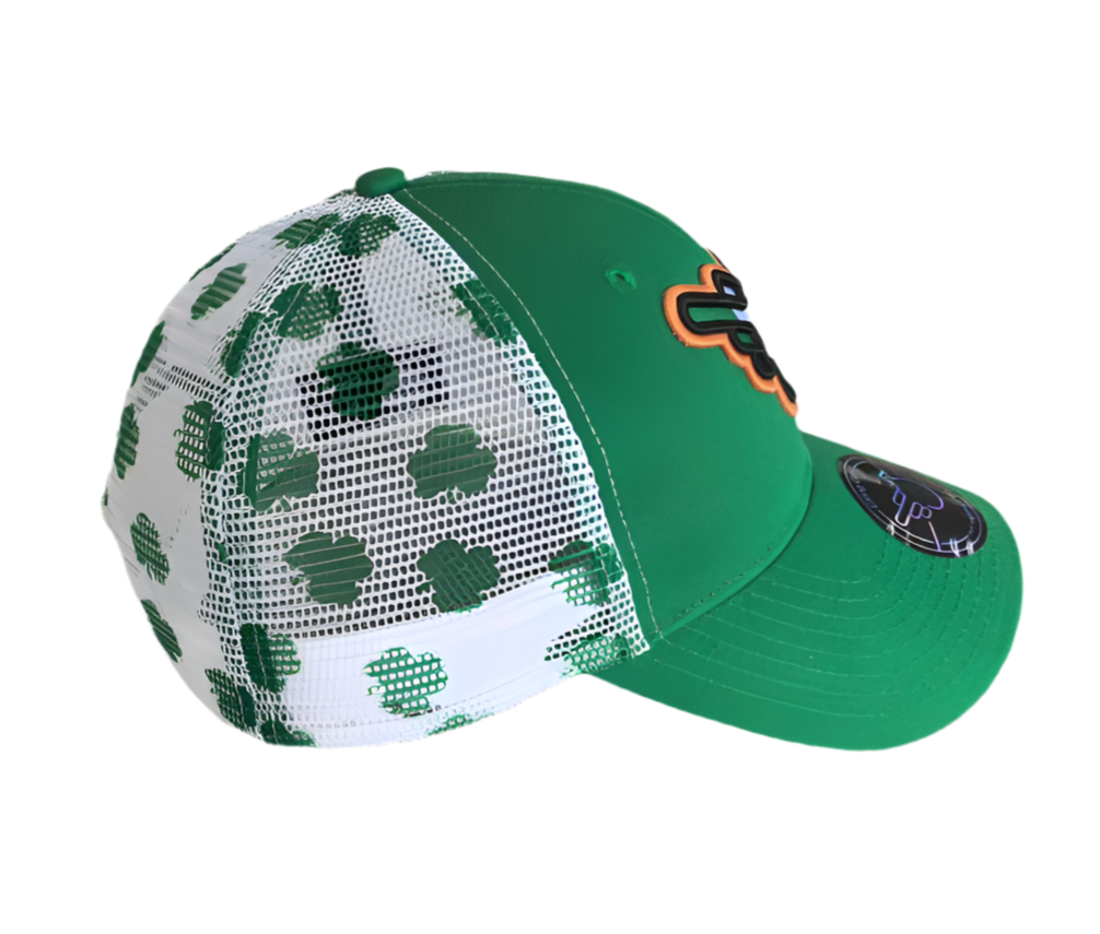 The Irish Bird Trucker Snap