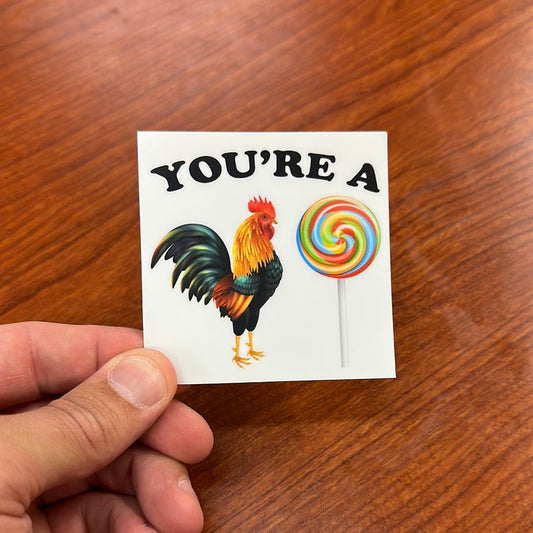 You're a C*ck Sucker Sticker
