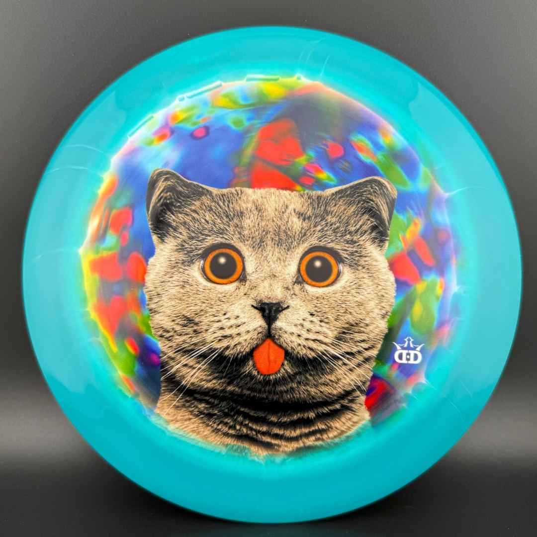 Fuzion Orbit Raider - DyeMax - Space Kitty Trippin
