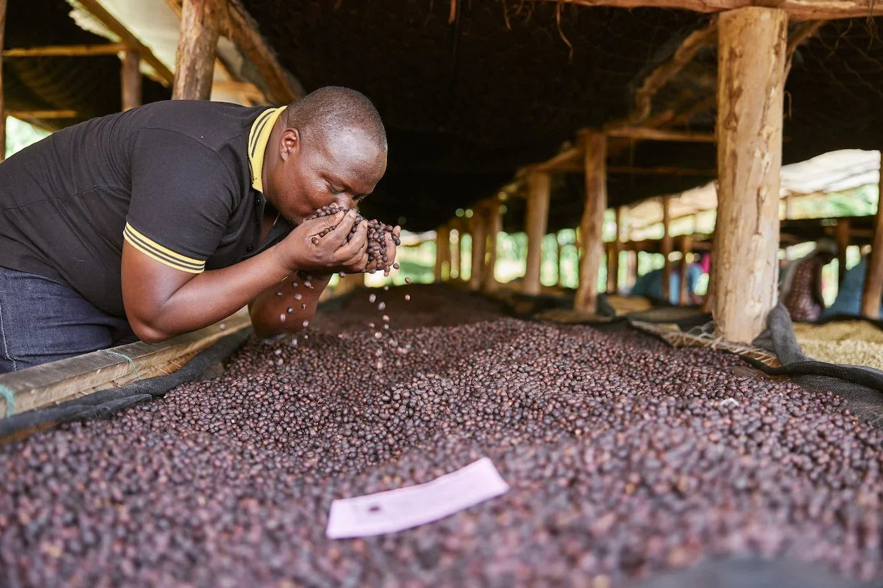 Rwanda Fugi Ubumwe Washed