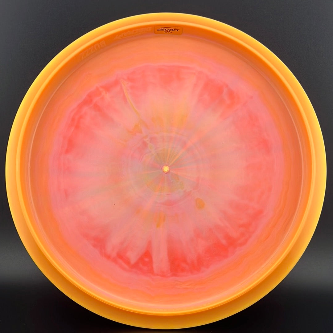 Swirl ESP Buzzz - College Nationals 2024