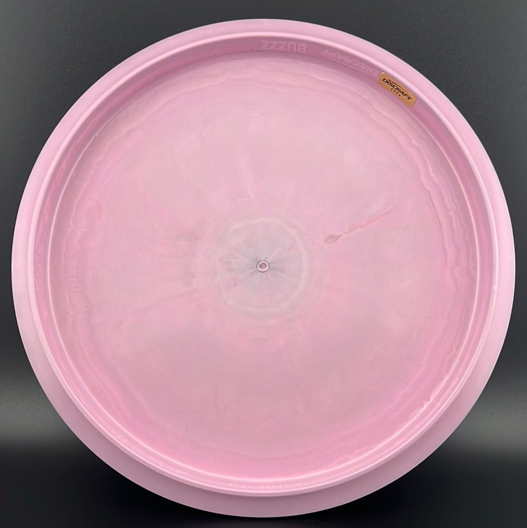 Swirl ESP Buzzz - College Nationals 2024