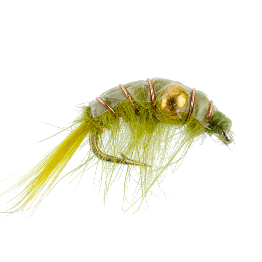 Olive Beaded Shrimp Scud Pattern - 6 Flies - Size 16 - Tailwater Lake Fly Fishing Nymph