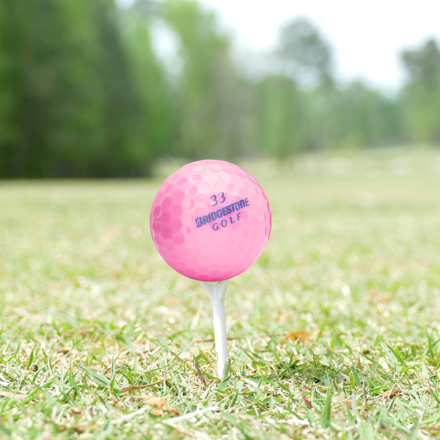 Used Bridgestone Lady Precept Pink - 1 Dozen